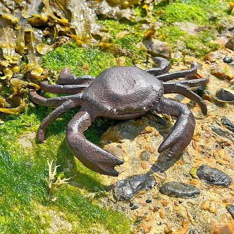 Crab Garden Ornament In Cast Iron - Image 4