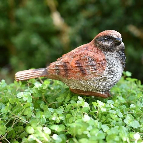 3 Garden Birds On Sticks Outdoor Ornaments - Image 6