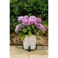 Antique Bronze Coloured Sitting Cat Potty Feet - Plant Pot Feet