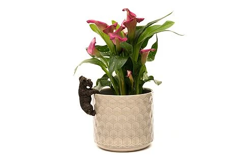 Antique Bronze Coloured Schnauzer Pot Buddy - Pot Hanger - Image 3